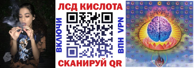 дарк нет Telegram  Петухово  Наркотические марки 1,5мг  наркотики 